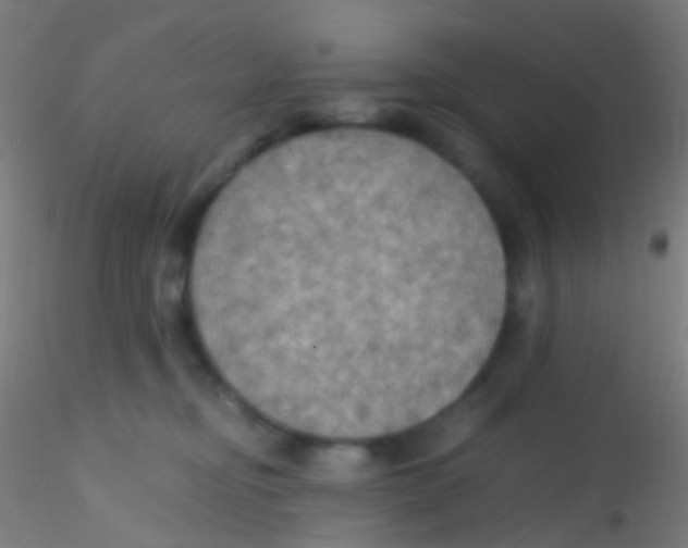 X0000115190374200911251425