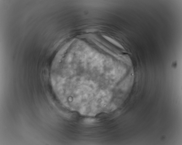 X0000115190375200911251425