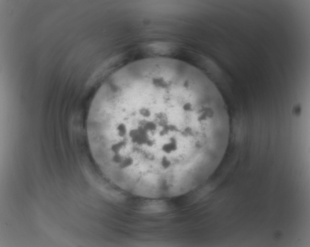 X0000115190377200911251425