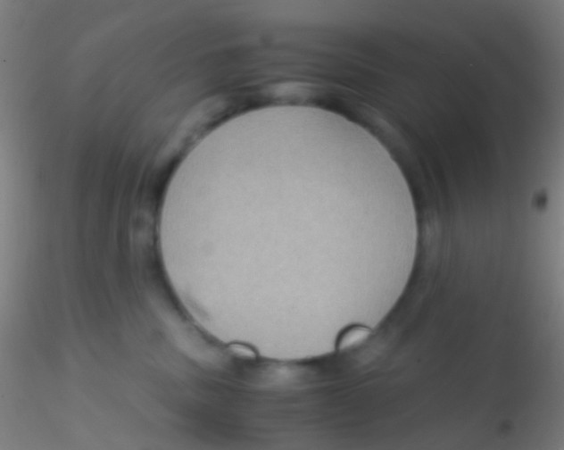 X0000115190379200911251425