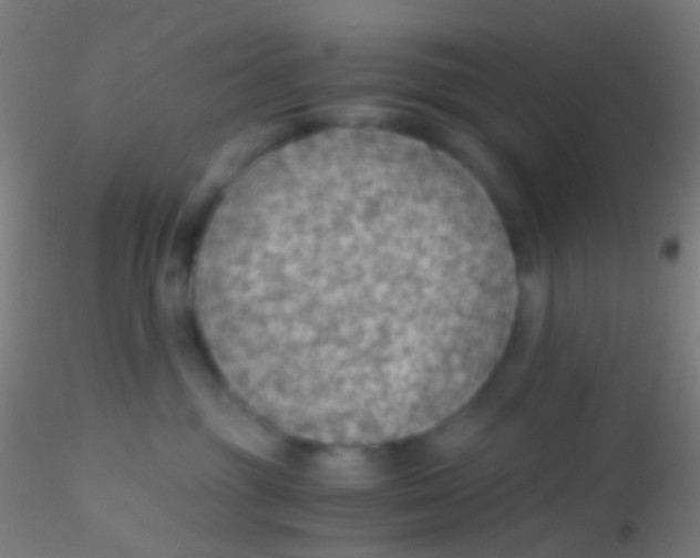 X0000115190381200911251425