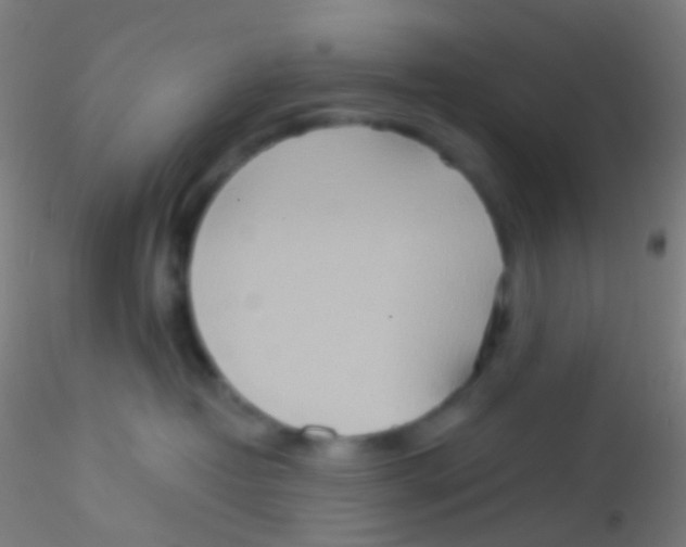 X0000115190382200911251425