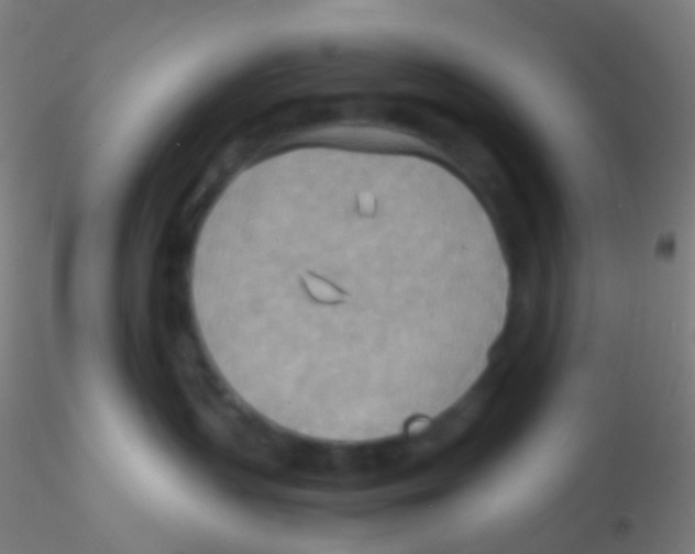 X0000115190383200911251425