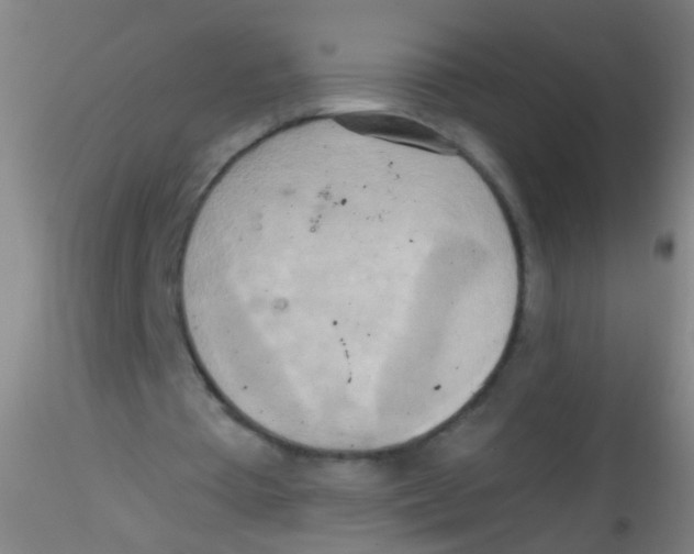 X0000115190385200911251424