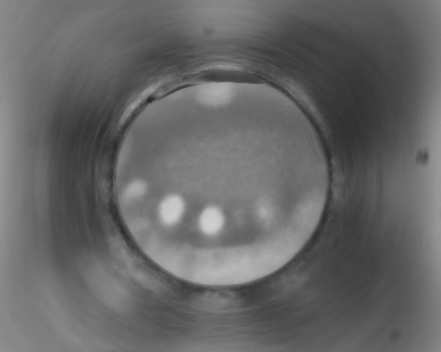 X0000115190386200911251424