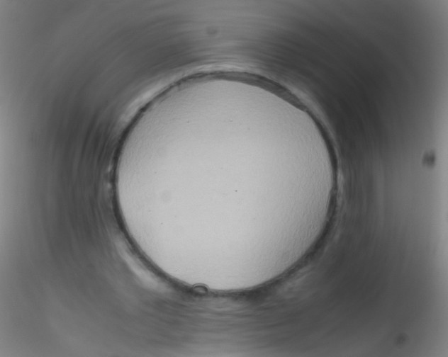 X0000115190389200911251424