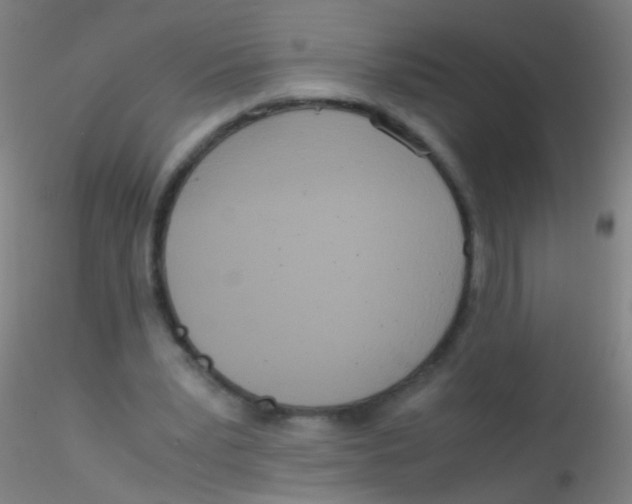 X0000115190391200911251424