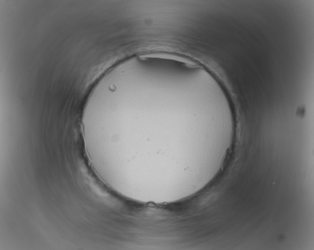 X0000115190393200911251424