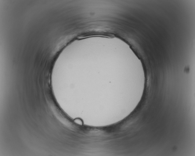 X0000115190397200911251424