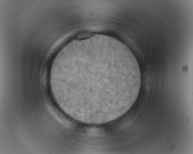 X0000115190400200911251424