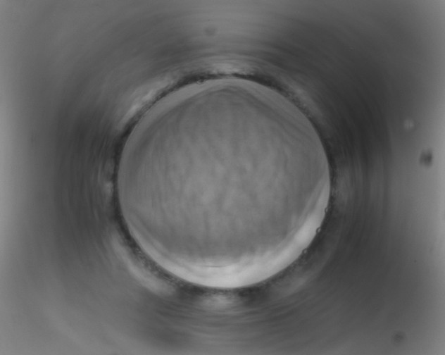 X0000115190402200911251424