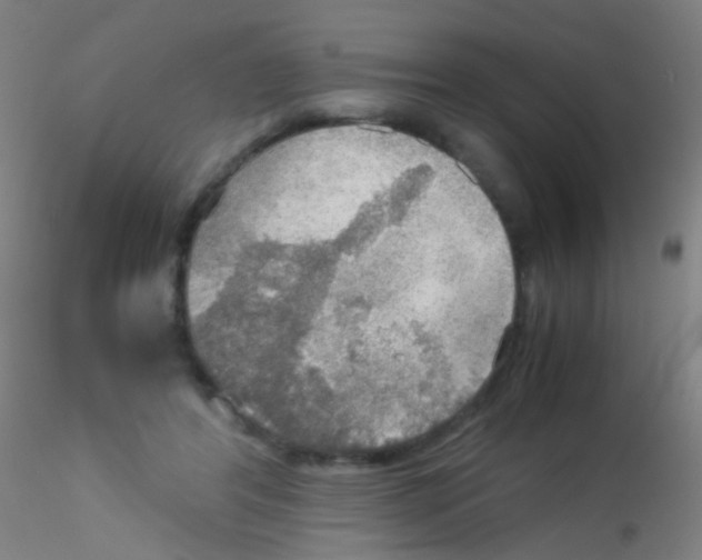 X0000115190404200911251424