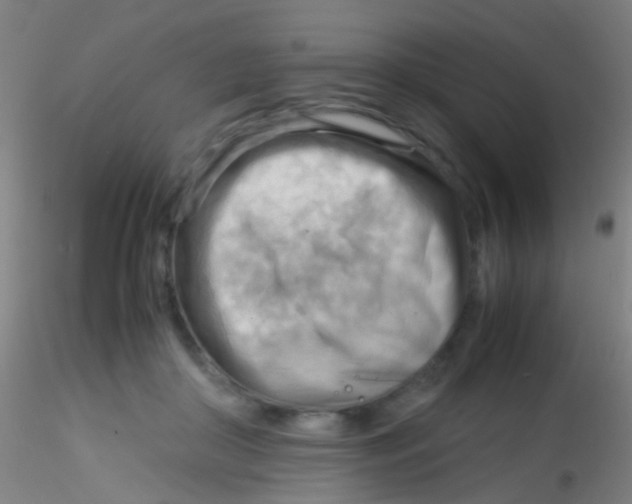 X0000115190410200911251424