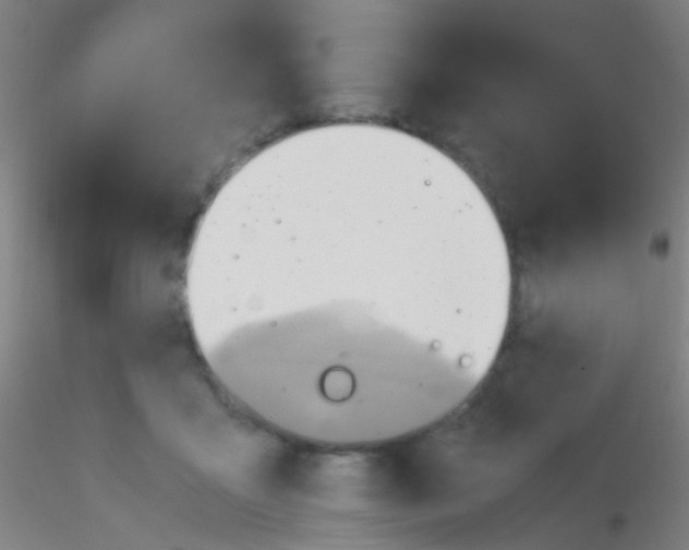 X0000115190411200911251424