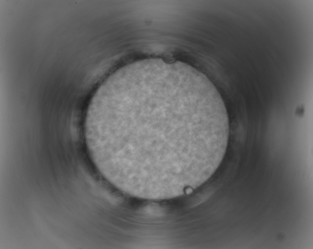 X0000115190416200911251424