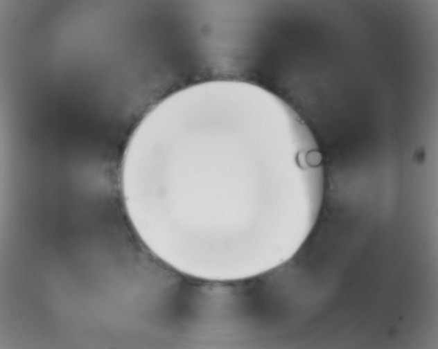 X0000115190419200911251424