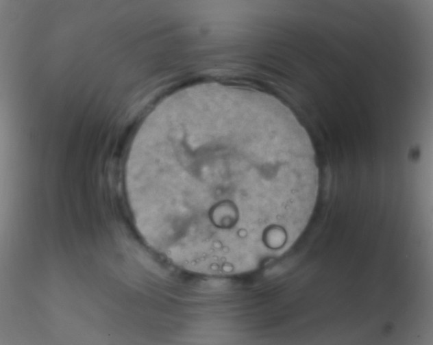 X0000115190428200911251424