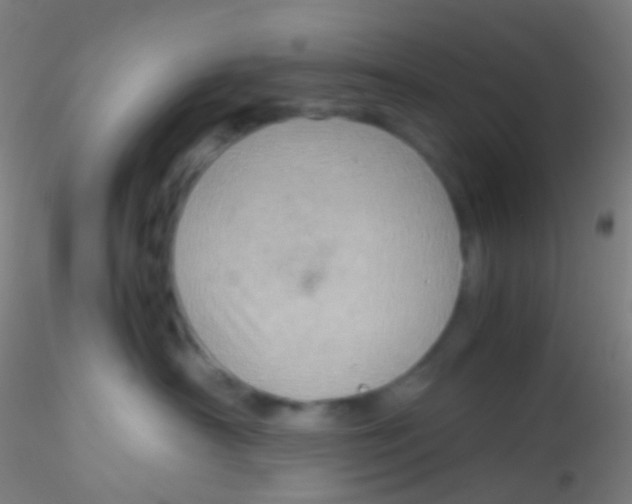 X0000115190430200911251424