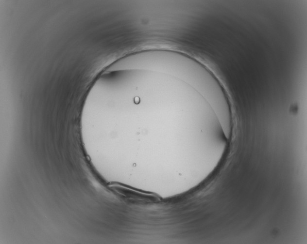 X0000115190433200911251423