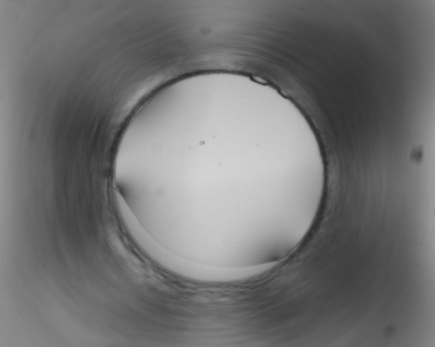 X0000115190434200911251423