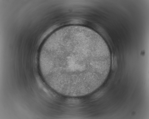 X0000115190435200911251423