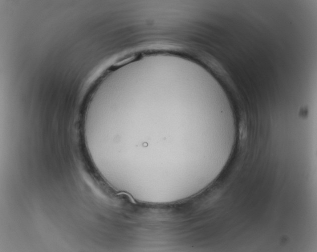 X0000115190436200911251423