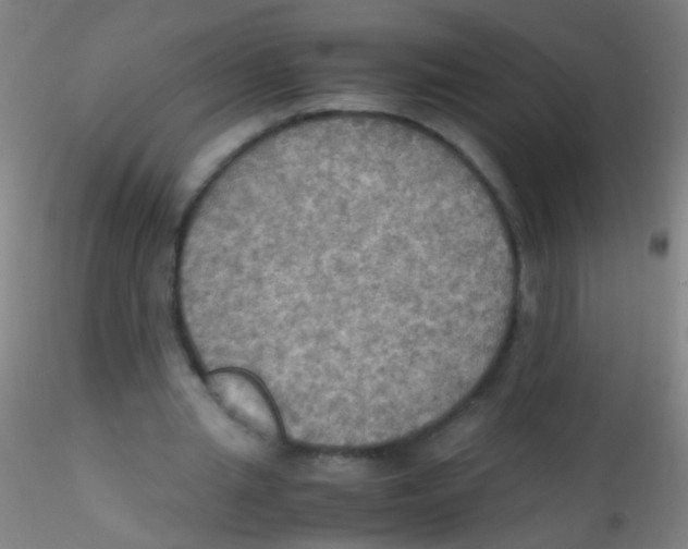 X0000115190437200911251423