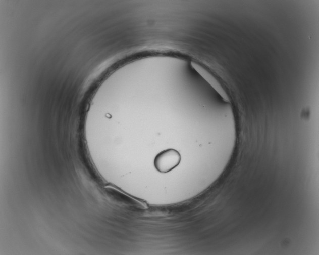 X0000115190440200911251423