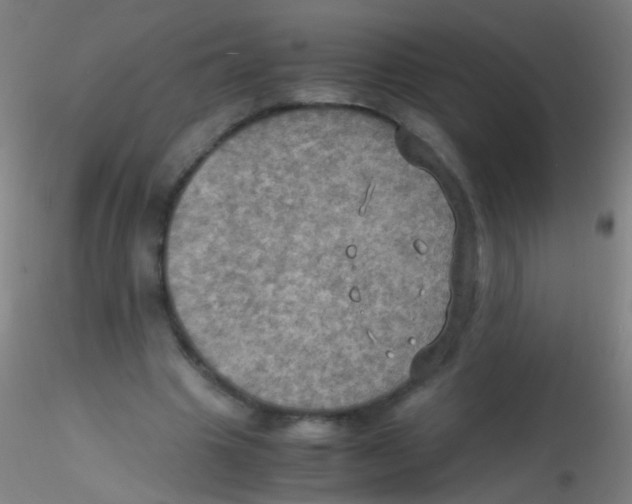 X0000115190441200911251423