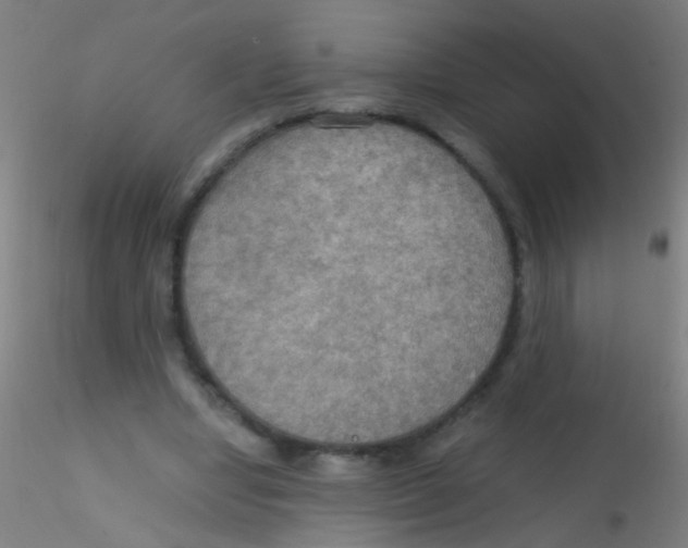 X0000115190442200911251423