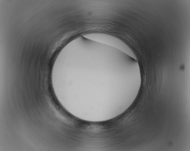 X0000115190444200911251423