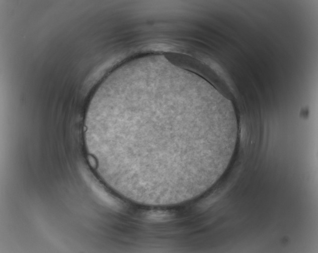 X0000115190445200911251423