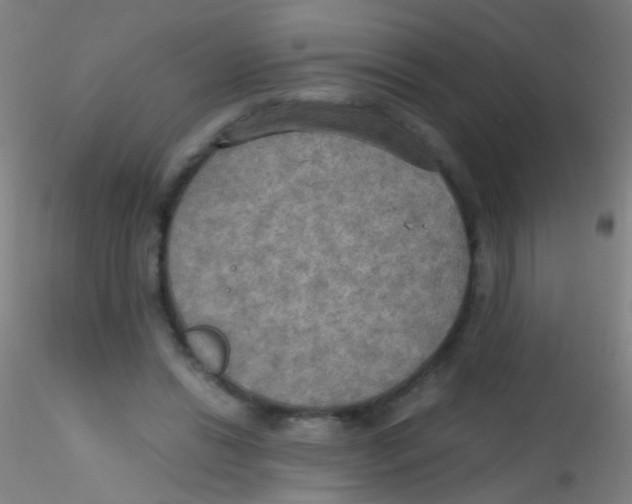 X0000115190446200911251423