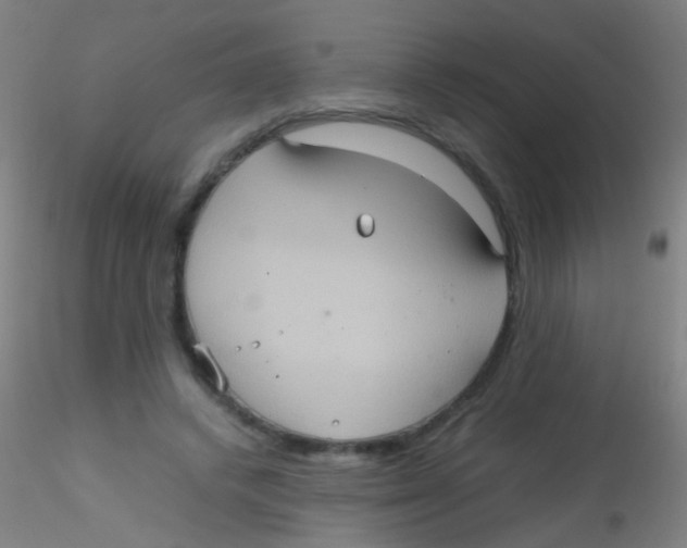 X0000115190448200911251423