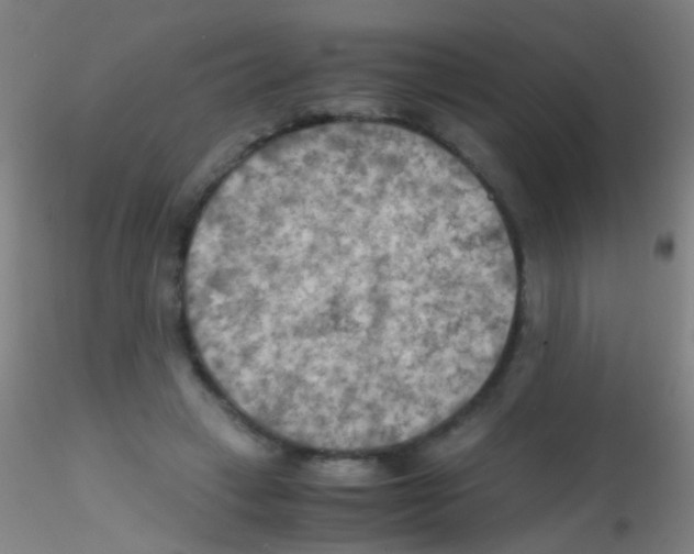 X0000115190449200911251423