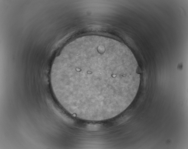 X0000115190450200911251423