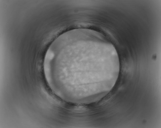 X0000115190451200911251423