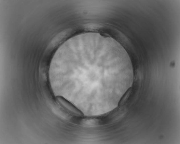 X0000115190452200911251423