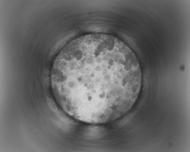 X0000115190453200911251423