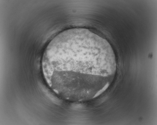 X0000115190454200911251423