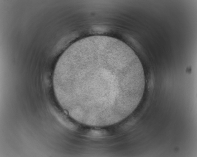 X0000115190455200911251423