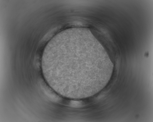 X0000115190457200911251423