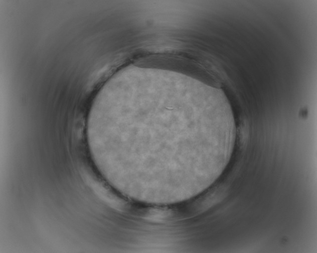 X0000115190458200911251423