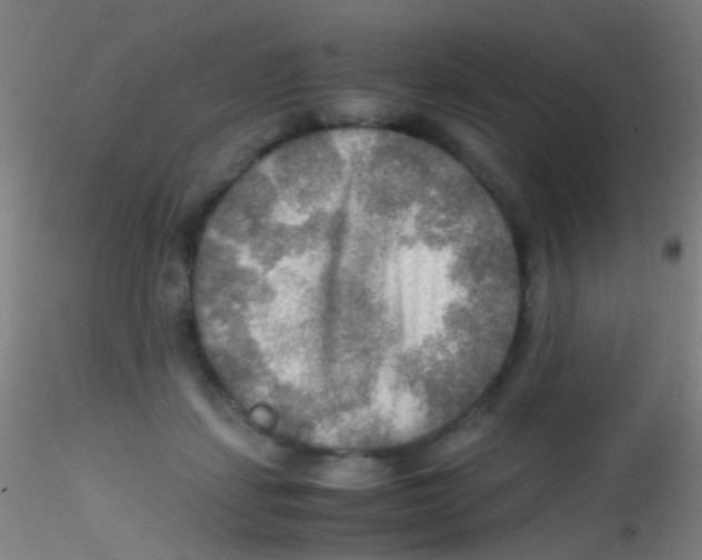 X0000115190459200911251423