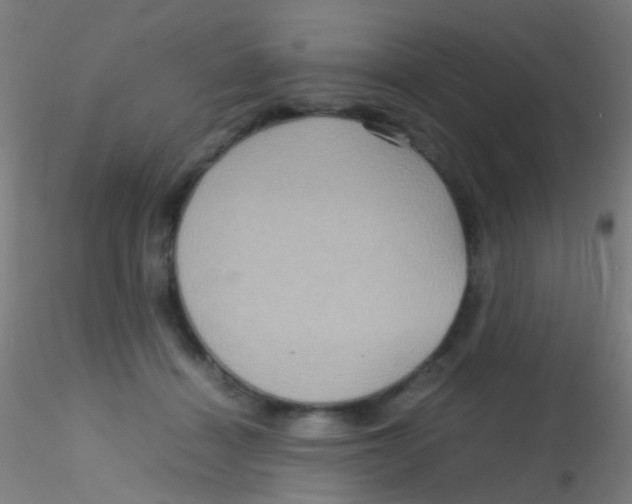 X0000115190460200911251423