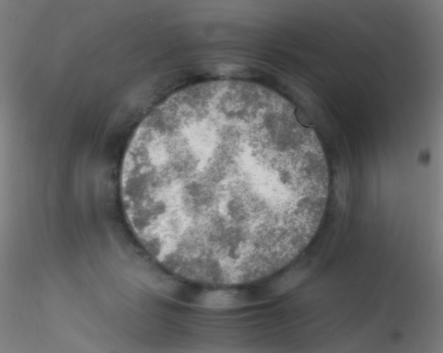 X0000115190461200911251423