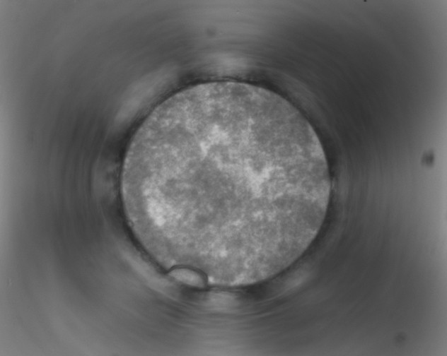 X0000115190462200911251423