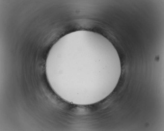 X0000115190464200911251423