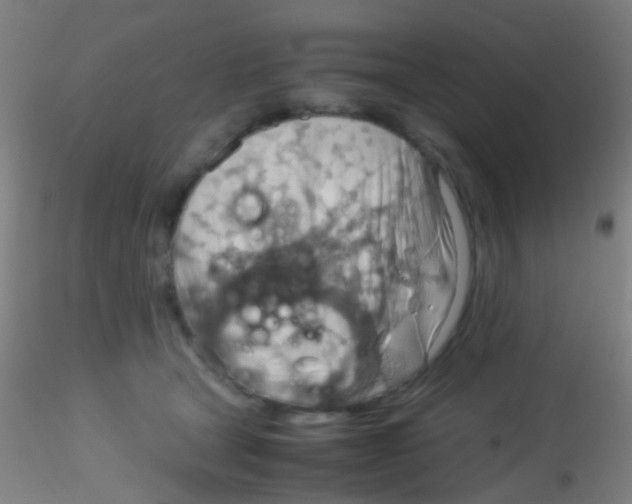 X0000115190465200911251423