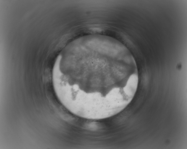 X0000115190467200911251423